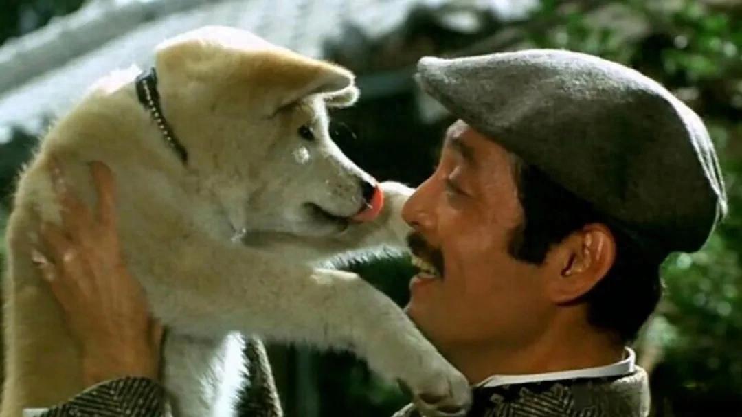 一只狗，拯救了好莱坞的脸面，这部“年度最佳”，真牛封面图