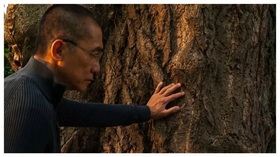 梁朝伟谈《寂静的朋友》，它“改变了我与自然的关系”封面图