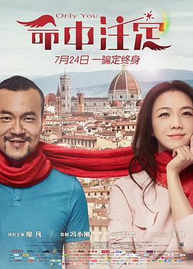 命中注定2015[电影解说]封面图